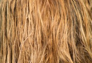 Split Ends Treatment: Repair and Prevention